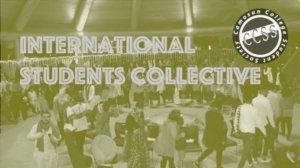 intl collective